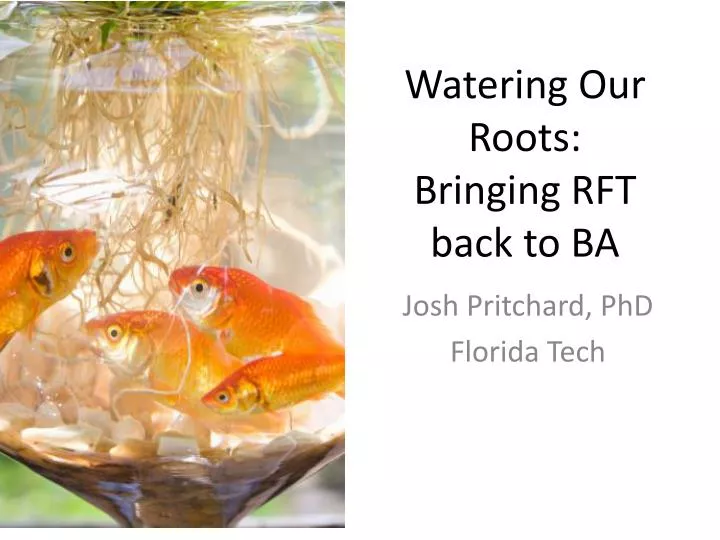 watering our roots bringing rft back to ba