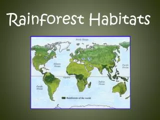 Rainforest Habitats