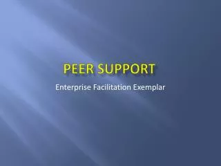 PEER Support