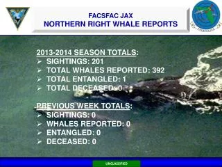 2013-2014 SEASON TOTALS : SIGHTINGS: 201 TOTAL WHALES REPORTED: 392 TOTAL ENTANGLED: 1
