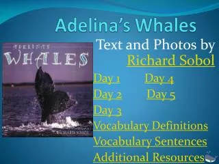 Adelina’s Whales