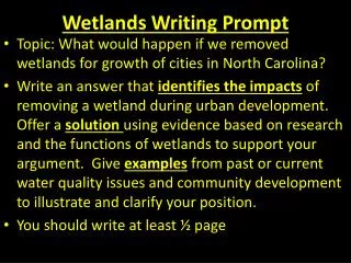 Wetlands Writing Prompt