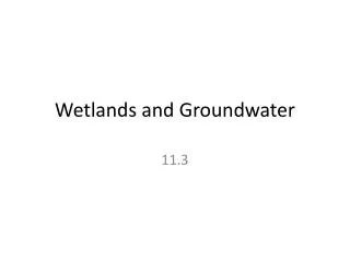 Wetlands and Groundwater