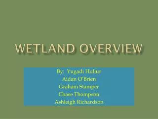 Wetland Overview