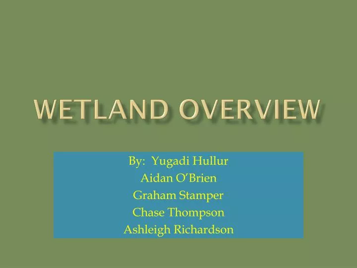 wetland overview