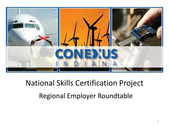 national skills certification project