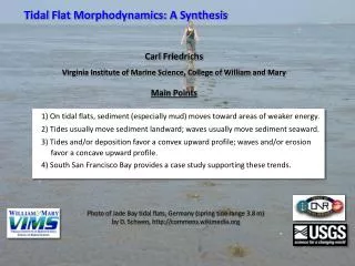 Tidal Flat Morphodynamics: A Synthesis