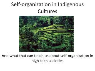 Self-organization in Indigenous Cultures