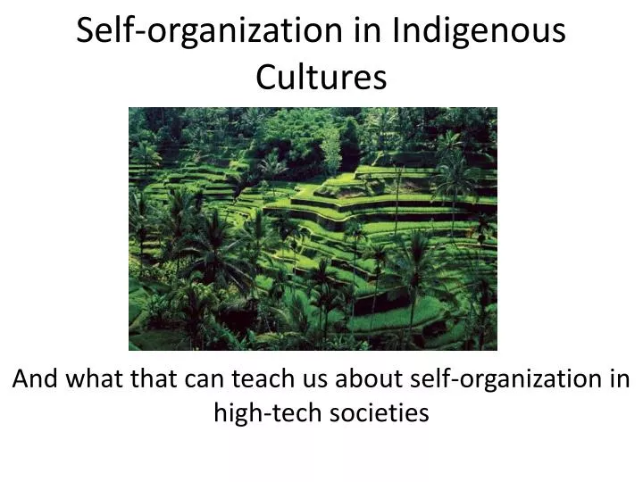 self organization in indigenous cultures