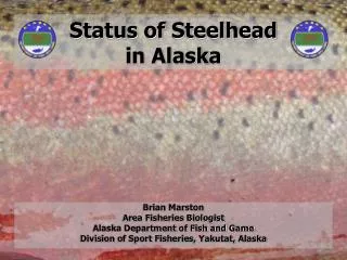 Status of Steelhead in Alaska