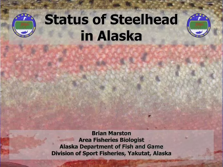 status of steelhead in alaska