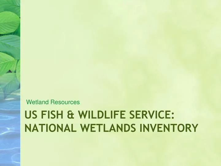 us fish wildlife service national wetlands inventory