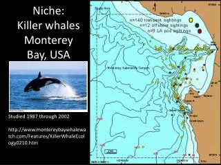 Niche: Killer whales Monterey Bay, USA