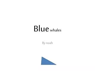 blue whales
