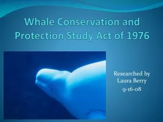 Whale Conservation and Protection Study Act of 1976