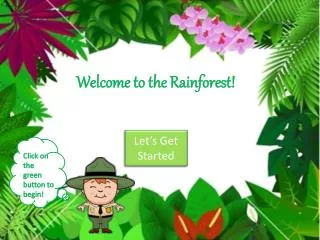 Welcome to the Rainforest!