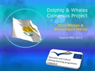 Dolphin &amp; Whales Comenius Project