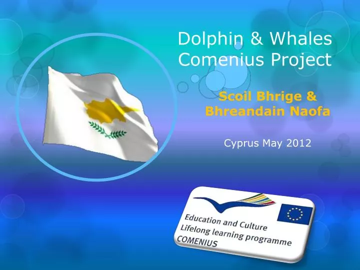 dolphin whales comenius project