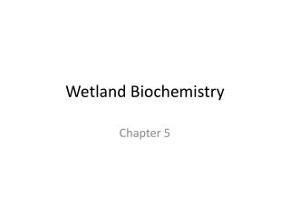 Wetland Biochemistry