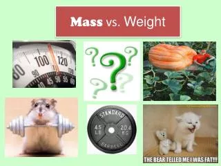 PPT - MASS AND WEIGHT PowerPoint Presentation, free download - ID:575164