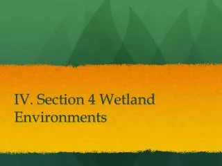 IV. Section 4 Wetland Environments