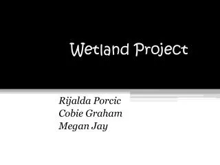 Wetland Project