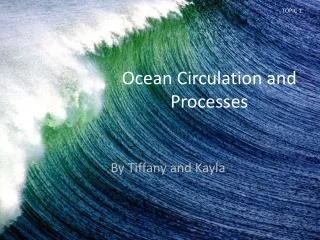 Ocean Circulation and Processes