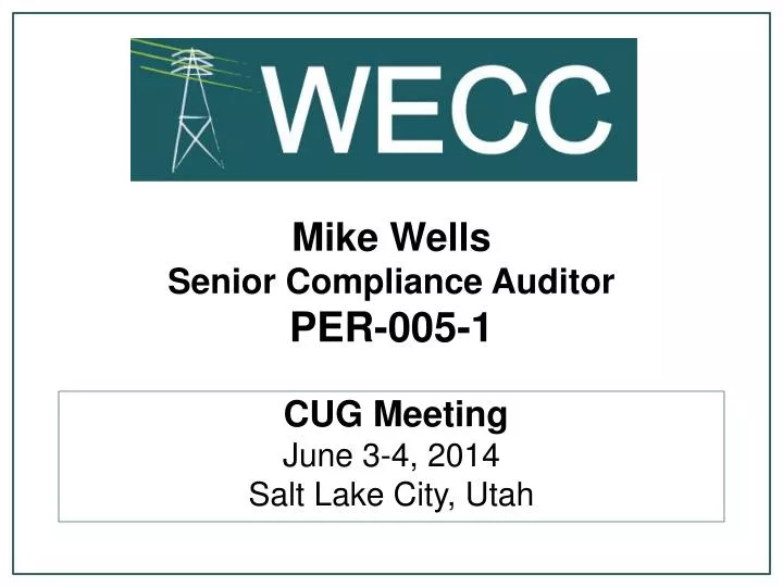 mike wells senior compliance auditor per 005 1