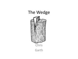 the wedge