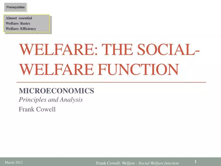 welfare the social welfare function