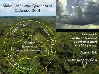 Molecular Science Questions of GoAmazon2014