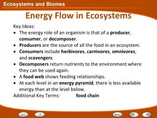 Energy Flow in Ecosystems