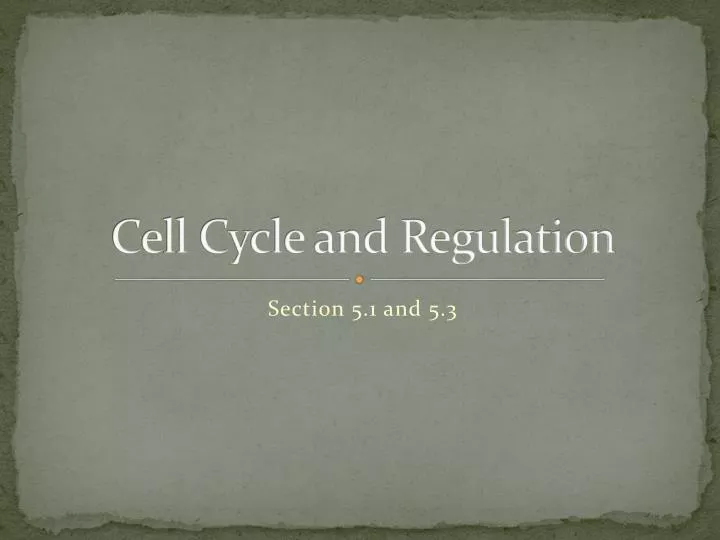 cell cycle and regulation