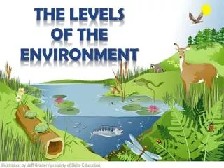 The levels of the environment