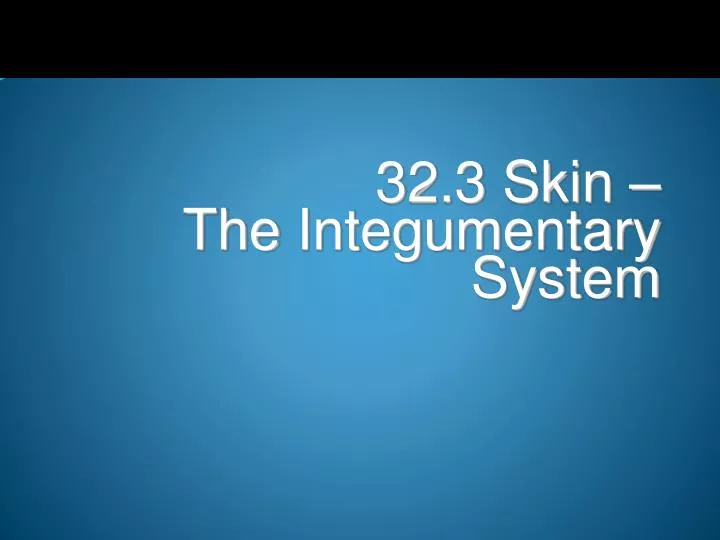 32 3 skin the integumentary system