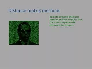 Distance matrix methods