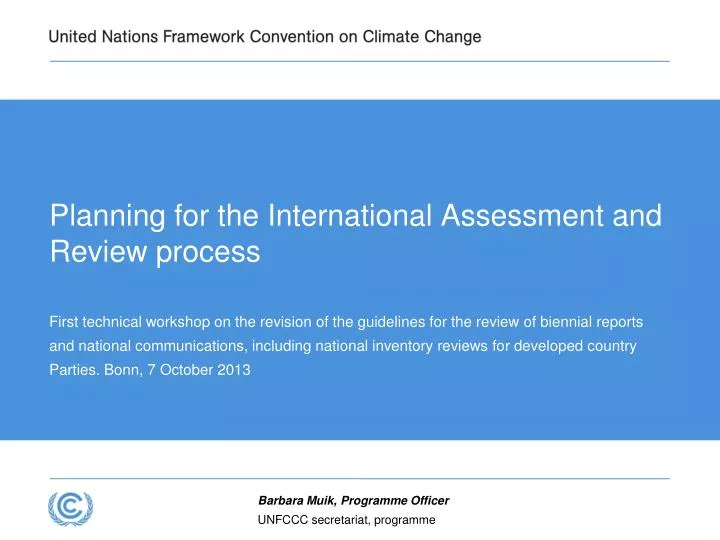 planning for the international assessment and review process