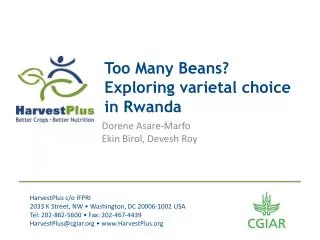 Too Many Beans? Exploring varietal choice in Rwanda