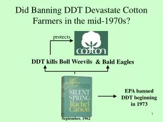Did Banning DDT Devastate Cotton Farmers in the mid-1970s?