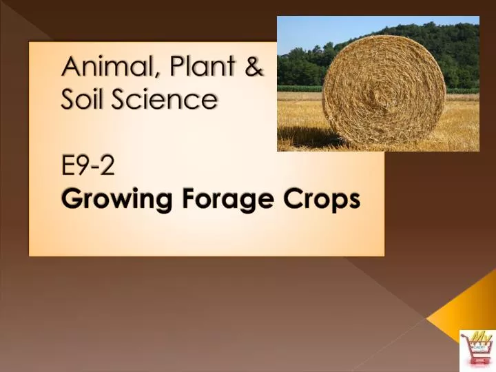 animal plant soil science e9 2 growing forage crops
