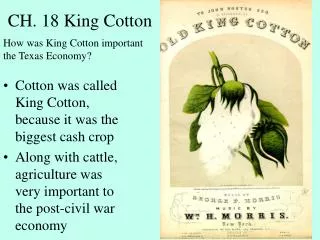 CH. 18 King Cotton