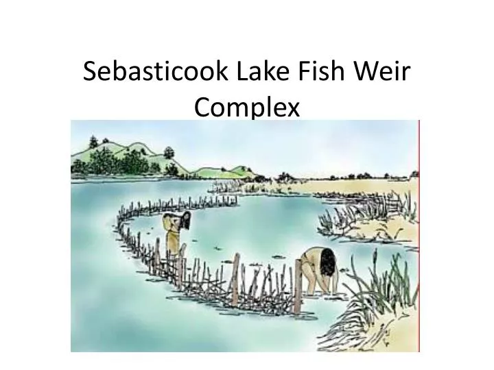 sebasticook lake fish weir complex