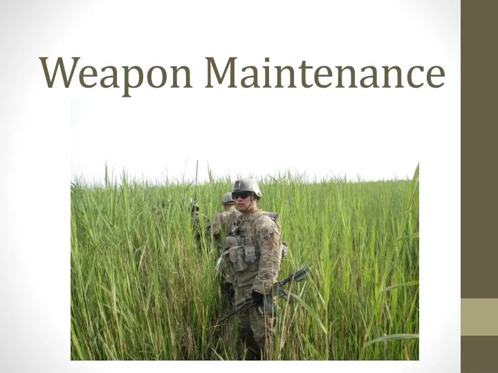 weapon maintenance