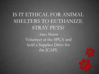 Is it ethical for animal shelters to euthanize stray pets?