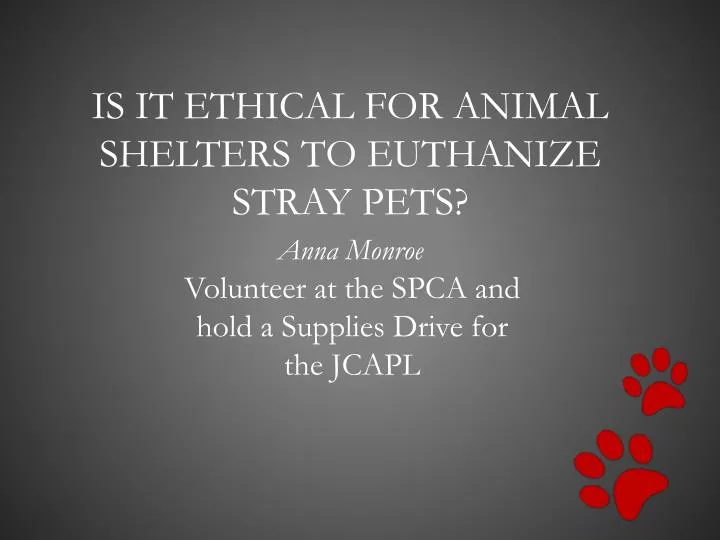 is it ethical for animal shelters to euthanize stray pets