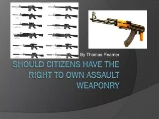 Should citizens have the right to own assault weaponry