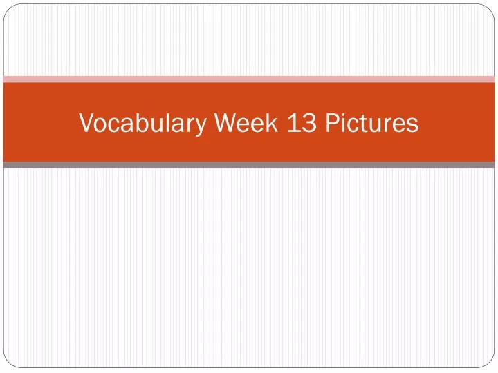 vocabulary week 13 pictures