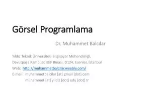 g rsel programlama