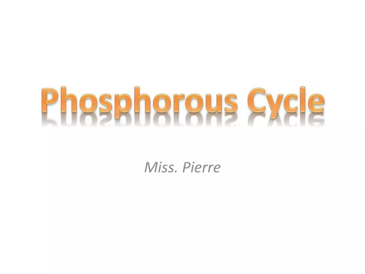 phosphorous cycle