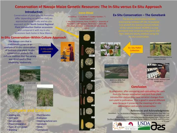 conservation of navajo maize genetic resources the in situ versus ex situ approach